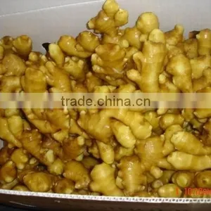 2016 New Crop Linyi Origin Air Dried Ginger thumbnail-2