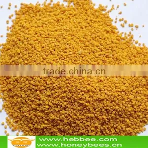 Hot Sale Fresh Kosher Bee Pollen thumbnail-1