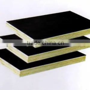 18MMX1220X2440 Russia Birch Core Film Faced Plywood thumbnail-1