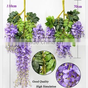 Chinese Native Mini Blue Chinese Wisteria Flowers thumbnail-1