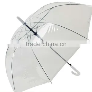 Transparent Umbrella thumbnail-1