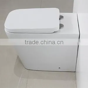 Watermark Australian Bathroom Ceramic Floor Toilet Bowl With Concealed Cistern 2051B thumbnail-3