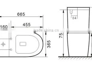 Hedge Type of Flushing Watermark Toilet Suite thumbnail-3
