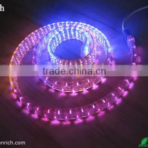 2 Wire ce Rohs Round Led Chasing Rope Light thumbnail-1