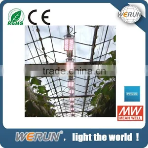 High Power 112W LED Grow Lights thumbnail-1