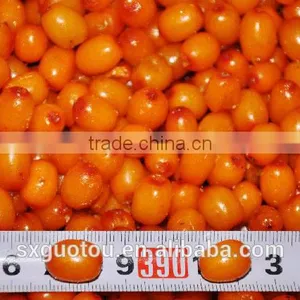 100% Nature Wild Frozen Seabuckthorn Fruit thumbnail-2