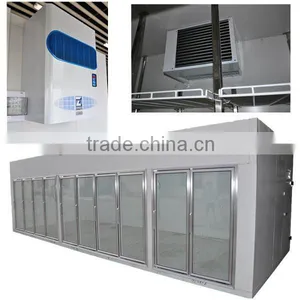 Polyurethane Insulated Glass Door Freezer Storage Supermarket Cold Room thumbnail-1