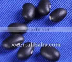 2011 New Crop Black Kidney Beans Market Price thumbnail-1