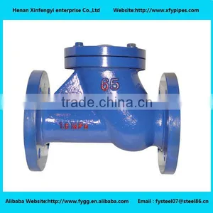 Spring Check Valve,Ductile Iron Cast Iron Flanged Swing Check Valve Price thumbnail-6