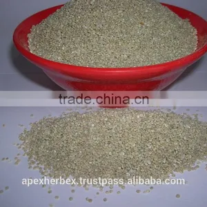 Quinoa Grain / Chenopodium Quinoa / Quinoa Grain /Quinoa Bulk Grain thumbnail-6