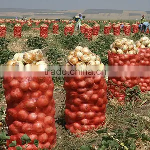 Fresh Red Onions Fresh Yellow Onions Turkish Onions thumbnail-1