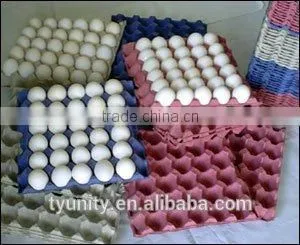CE&ISO STANDRAD Egg Tray Machine thumbnail-5