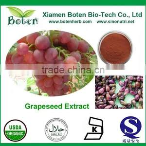 Manufactory Supplier of 95% OPC Grape Seed Extract thumbnail-1