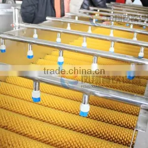 Industrial Watermelon/Orange/Apple Washing Machine With Roller Brushes thumbnail-5