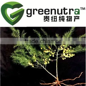 Asparagus Root Extract thumbnail-1