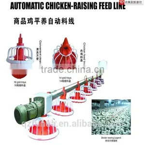 Feeding Line for Poultry thumbnail-5