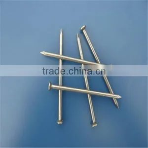 1/2"-13" High Quality Common Nails/ Stainless Steel Nail thumbnail-3
