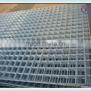 Hot Sale 3/4"x3/4"welded Wire Mesh Roll/panel for Fence thumbnail-5