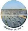 Express Nonwoven Fabric Used for Agriculture thumbnail-1