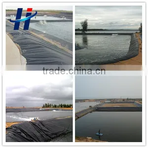 Geomembrane Waterproof Material for Pond Liner thumbnail-2