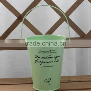 Antirust Small House/Garden Decoration Metal Flower Pot Bucket thumbnail-2