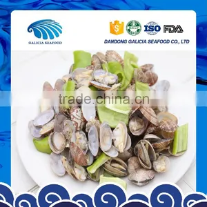 Frozen Delicious Short Necked Clams Top Quality Low Price thumbnail-1