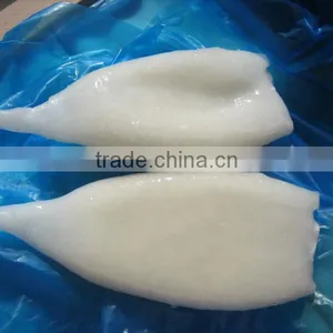 Frozen Illex Squid Tube With Nice Quality thumbnail-1