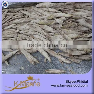 200-500G Bonito Loin For Market thumbnail-1