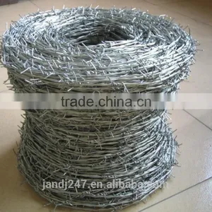 Hot Dipped Gi Barbed Wire With Free Sample thumbnail-1