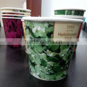 Paper Flower Pot thumbnail-1