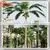 Artificial Big Coconut Palm Trees,cheap Large Fake Trees thumbnail-1