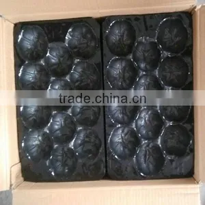 Food Grade Recycle PP Plastic Tomato Packing Tray Liners thumbnail-4