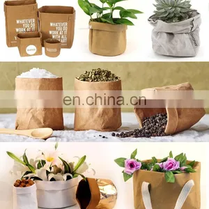 Customized Waterproof Foldable Easy Carry 15kg Kraft Paper Bag for Fruit and Food thumbnail-6