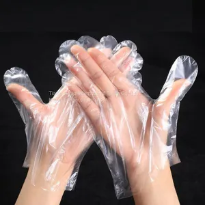 Disposable PE Glove thumbnail-2