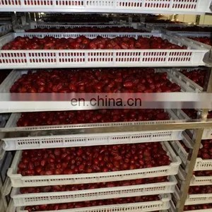 Date Syrup Production Line/ Date Paste Processing Machine / Date Honey Making Machine thumbnail-4
