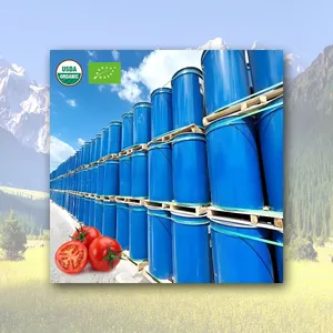 Organic 28/30 Brix Tomato Paste Concentrate in Drum Packaging Cold/Break Hot Bulk Packed thumbnail-1