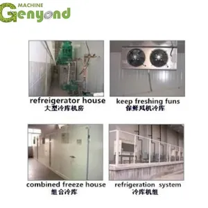 Cold Storage Room Copeland/bristol Compressor 100mm Panel Thickness New & Used for Farm Hotels & Restaurants thumbnail-3