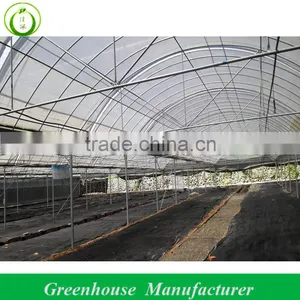 Multi-span Factory Greenhouses thumbnail-1