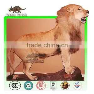 African Animatronic Lion thumbnail-1