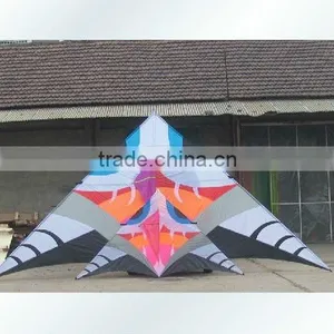 10m Delta Kites thumbnail-1