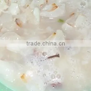 Litchi (longan) Crusher Separator thumbnail-5
