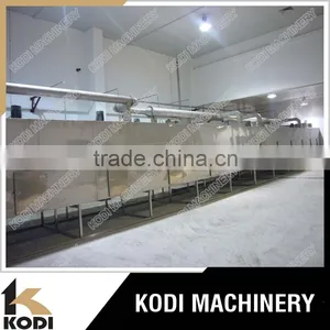 DW Model Continuous Sunflower Seeds Mesh Conveyor Belt Dryer thumbnail-2
