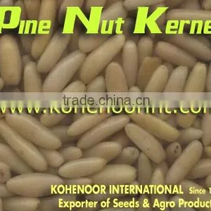 Fine Quality Pine Nuts thumbnail-1
