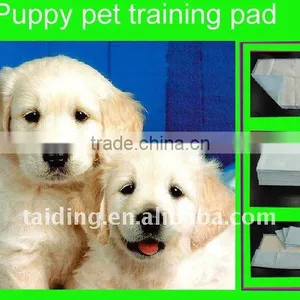 Disposable Puppy Dog Pad thumbnail-1
