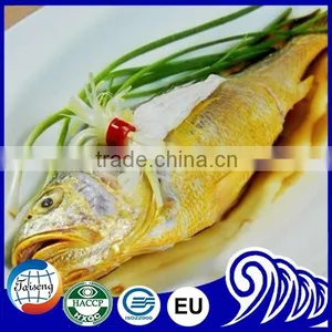 Frozen Seafood Frozen Yellow Croaker, Yellow Croaker Fish Price thumbnail-1