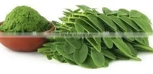 MORINGA OLEIFERA POWDER FOR AYURVEDIC TABLETS thumbnail-1