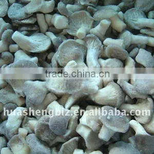 Frozen Mushrooms thumbnail-6