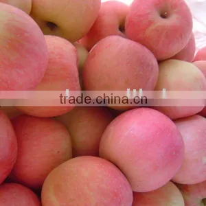 Fuji Apple China thumbnail-1