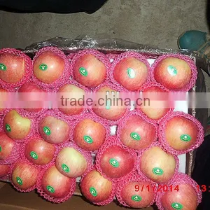 Wholesale Prices Fresh Apple Fruit / Red Fresh Apple thumbnail-1