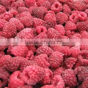 Wholesale IQF Berries/ Raspberry/ Blueberry/ Blackberry From China thumbnail-1